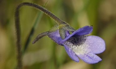 Gildi, markmið og stefnur